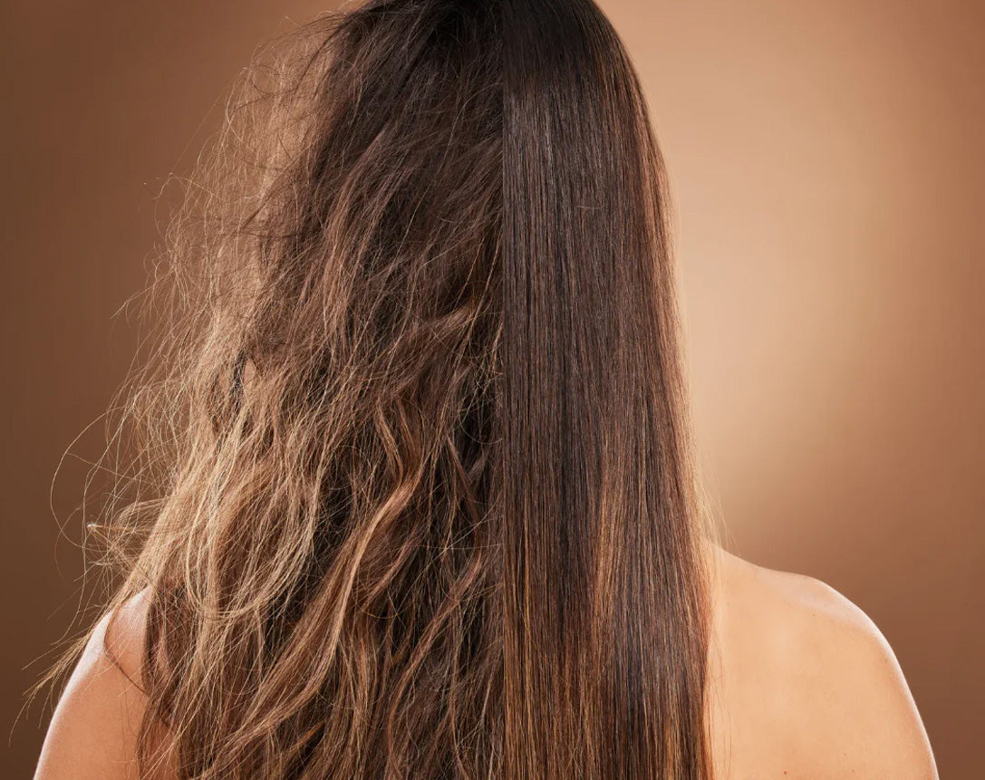 Dry And Damaged Hair
